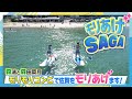 【モリあげSAGA】＃１　令和７年９月22日OA「ルート・グランブルー」篇