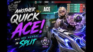 Quick ACE