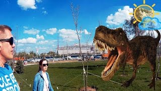 Стадион Волгоград Арена и Парк Баку Стадион Волгоград Арена и Парк Баку