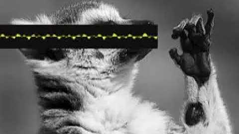 Tucketsubdivision Scale qfvldjpzsl