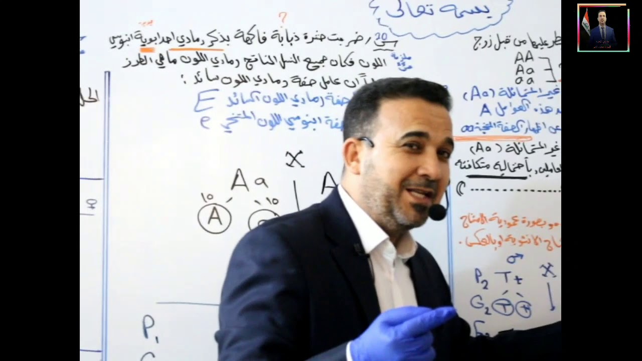 المحاضرة الحاديةعشر فرضيات مندل ومربع بونت