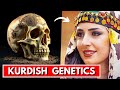 Ancient DNA Just Revealed The True Origins Of The Kurds Ancient DNA Just Revealed The True Origins Of The Kurds