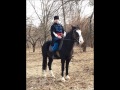Тарас Житинський Козаче козаче 