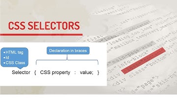 Lesson 2 CSS SELECTOR | ការ​ចាប់​យក​ធាតុ​យក​មក​រចនា (Selector) នៅ​ក្នុង CSS