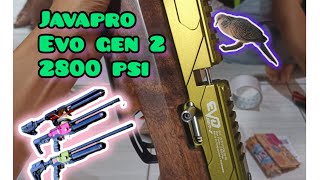PCP JAVA PRO EVO GEN 2 BESOK MAU JAJAL HUNTING #berburutekukur #javapro #vECTORorion