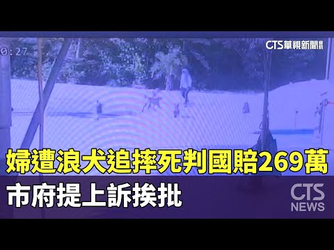 「婦遭浪犬追摔死」判國賠269萬　市府提上訴挨批｜華視新聞 20230604