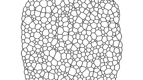 2D Dry Foam: 2000 cells using OIC only