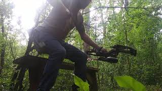 EZV Bow Sight vs. Doe Target (45 yard shot)