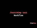 PR Testing with TestChimp