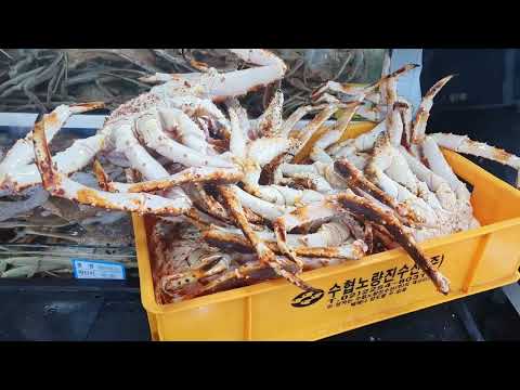 Korea Street Food in <strong>Seoul</strong> #<strong>Seoul</strong> Fish <strong>Market</strong>