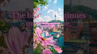 Seoul in Bloom — Peaceful Spring Morning Lofi Mix.