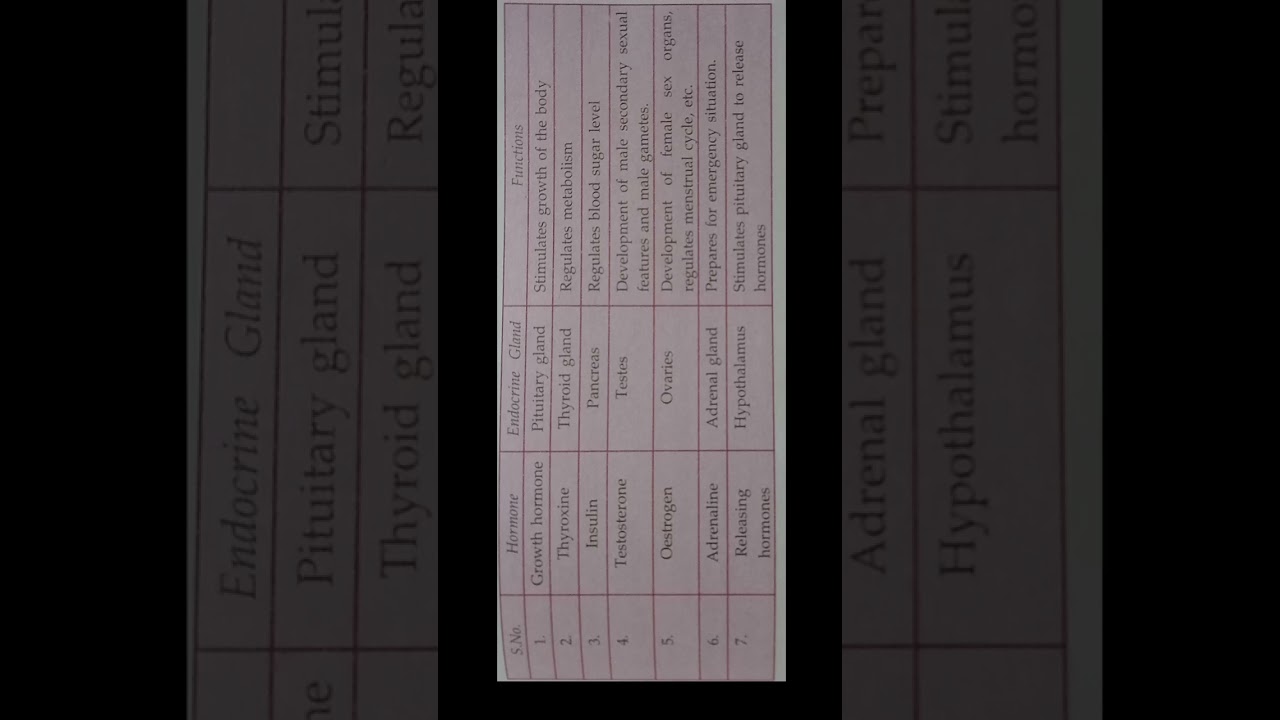 Hormones and Their functions Best Notes for exam 