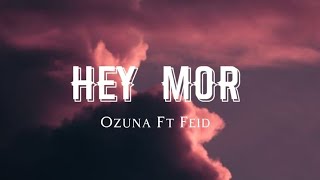 Ozuna Ft. Feid - Hey Mor ( Lyrics )