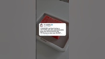 I LAUGHED out loud during a LECTURE with 240 undergraduates when the PROFESSOR said