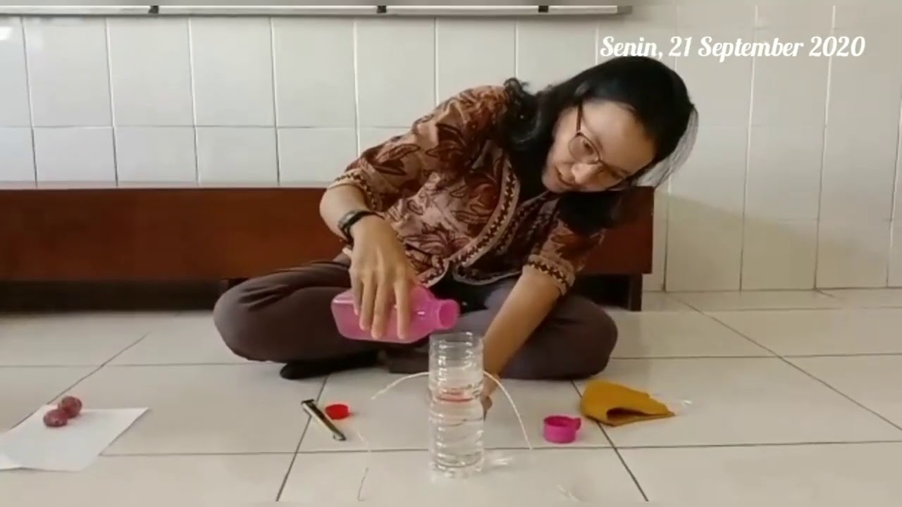 Menanam Bawang Merah dengan Media Air 