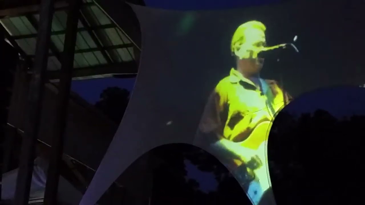 Violent Femmes   Summercamp 2015