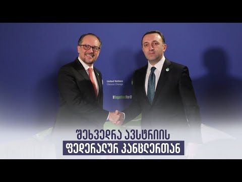 შეხვედრა ავსტრიის ფედერალურ კანცლერთან