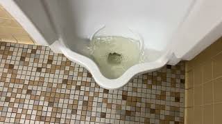 12,007. Frank Melville Jr. Memorial Library Men’s Restroom 