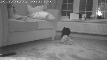 Conbrov T19 Key Fob Spy Cam Example 3