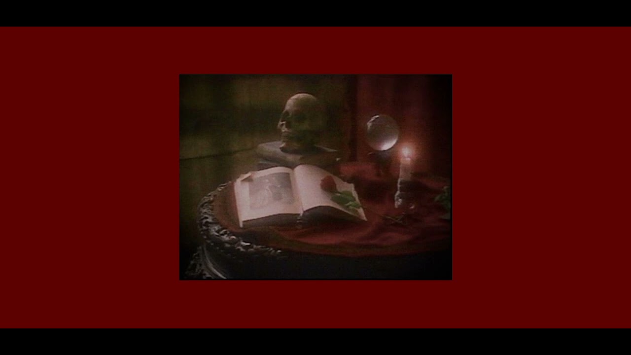 Hand Me My Shovel, I'm Going In! ~ Will Wood & The Tapeworms 《sped up》