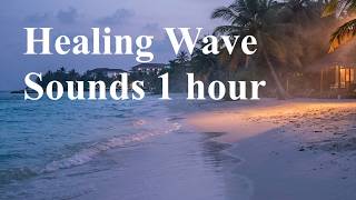 Healing Wave Sounds for Deep Sleep &amp; Relaxation | 1 Hour Gentle Wave (No Music)#3