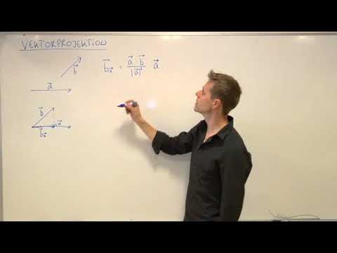 Video: Hvad betyder vektorielt?