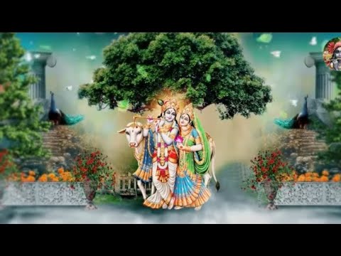 Rinki singer Official mp 30 लाइव है! राधे राधे 🙏 स्वागत है - YouTube