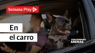 ¿Cómo hacer que tu perro esté tranquilo en el carro? | Rodrigo Arenas