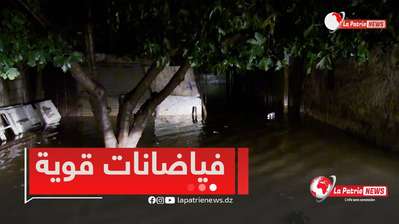 شاهدوا .. الأمطار تغمر عزابة بـ #سكيكدة والسُلطات تجلي 146 عائلة