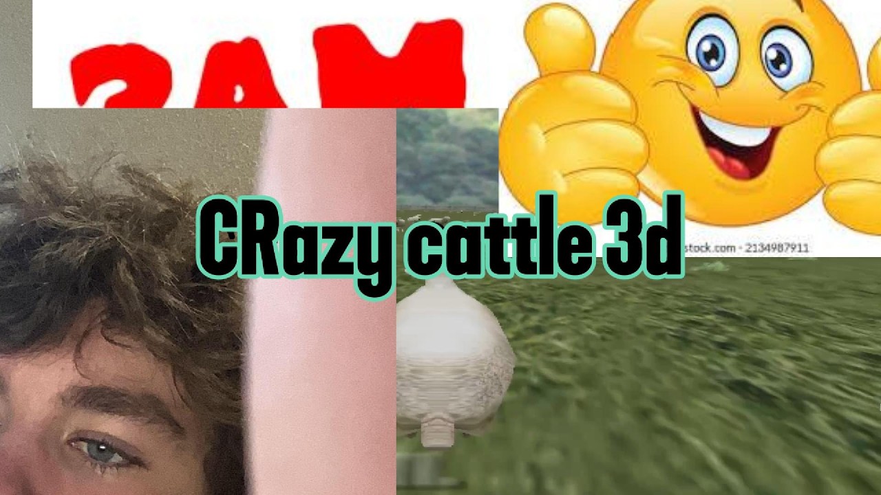 weird games: Crazy cattle 3D
