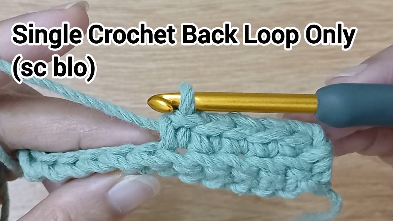 Single Crochet Back Loop Only (sc blo) 