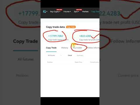   Bitget Copy Trading 3 Weeks Results Shorts Copytrading