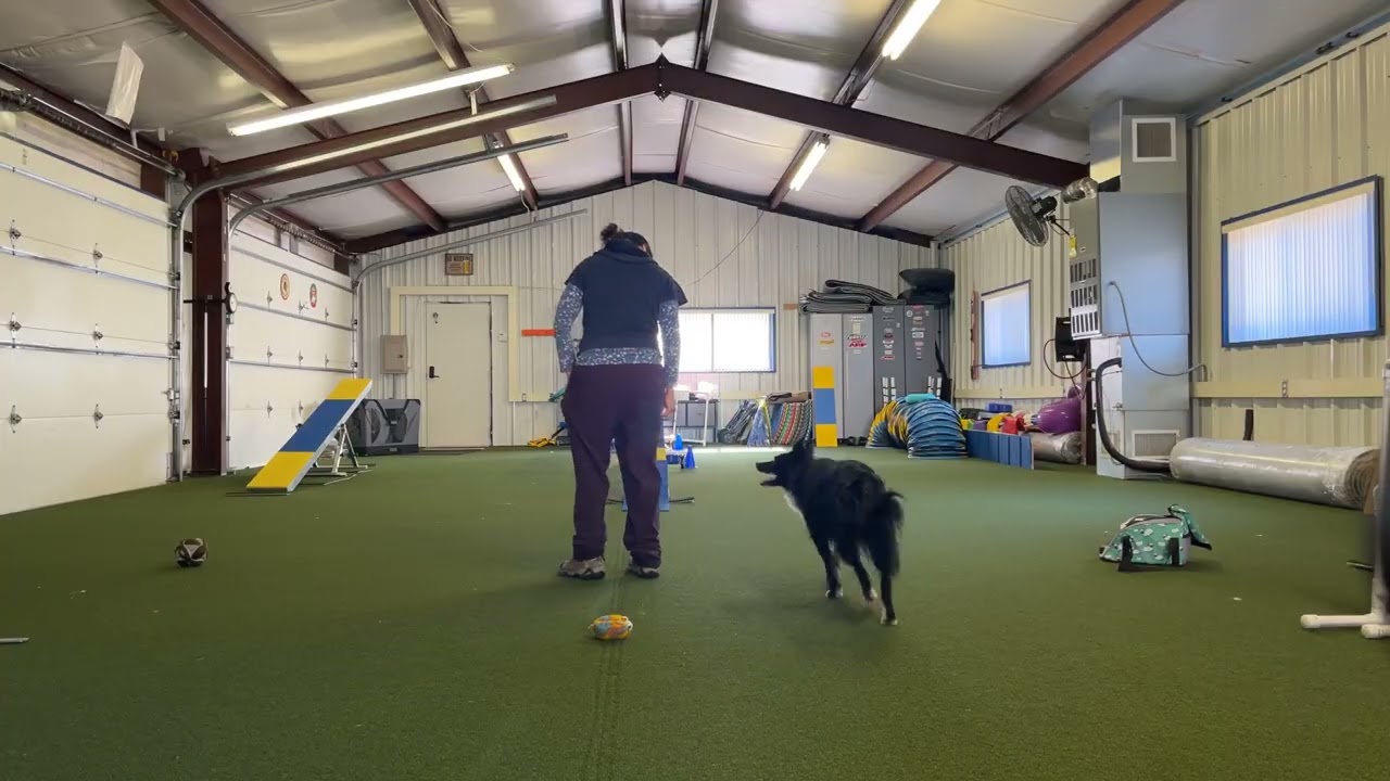 DW RC with soft turns 03012026