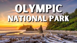 The 20 BEST Things To Do In Olympic National Park | Olympic National Park Travel Guide
