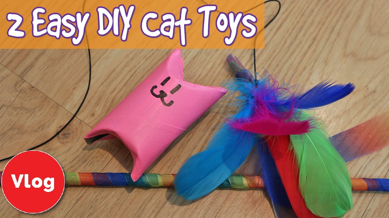 cheap cat toys to make