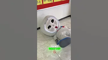 Damn It I Ve Been Pranked Again Funny Funnyvideos 