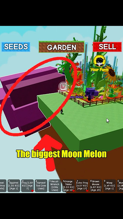 I stole the biggest moon melon in Grow a garden #roblox #growagarden