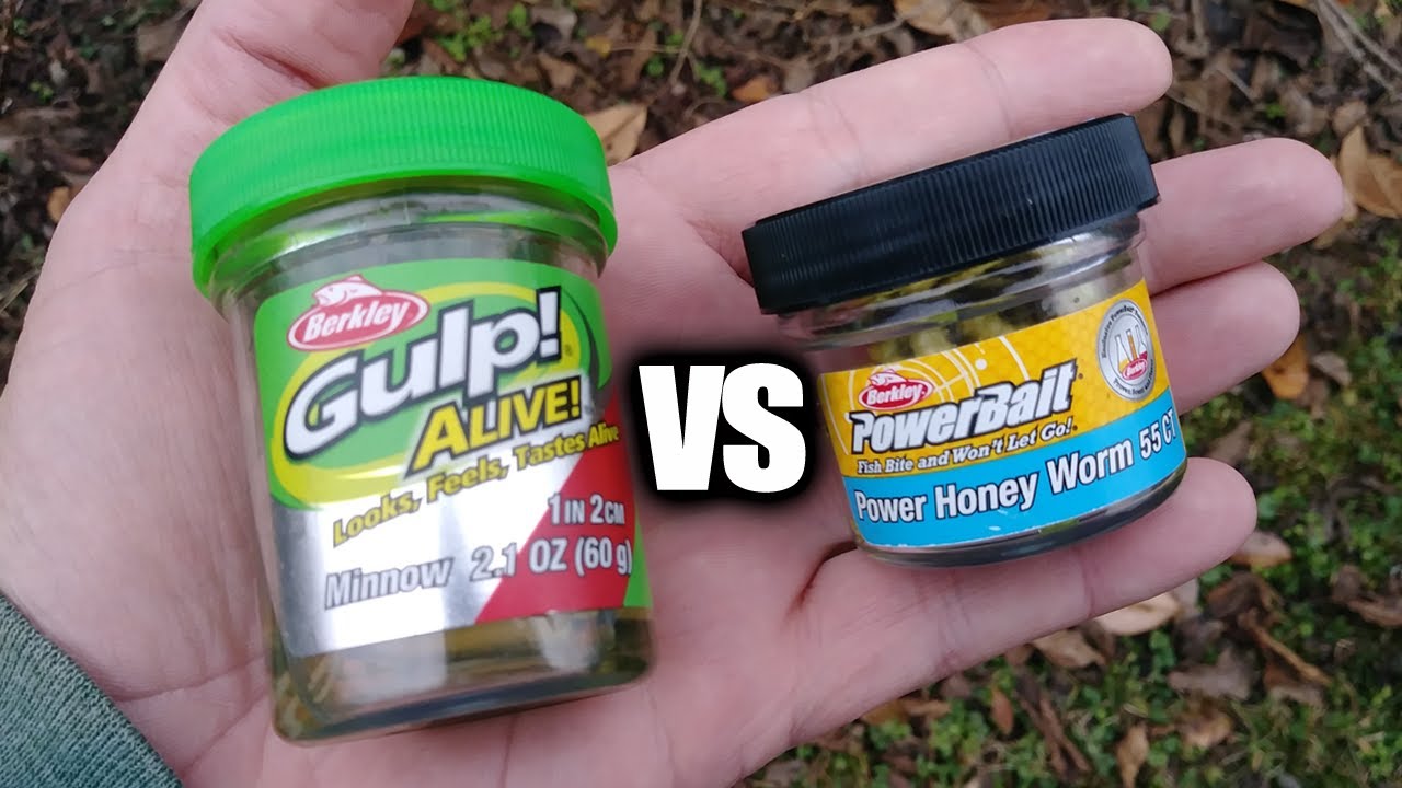 Gulp Minnow vs PowerBait Honey Worm - Which Bait Will Catch More Fish? - Realistic  Fishing