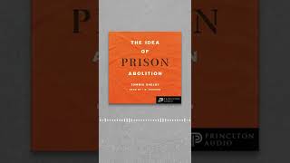 The Idea of Prison Abolition - Black Radical Scholars on Prison Abolition and Reform