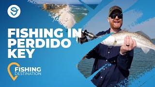 The Complete Guide to Fishing Perdido Key