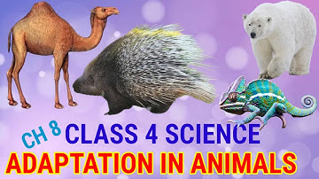 Class 4 Science Chapter 8 - Adaptation in Animals #Parentguides #science #class 4