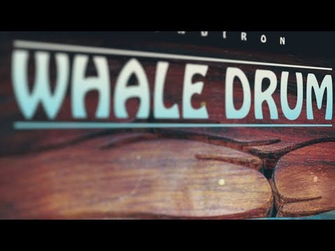 Whale Drum by Soundiron Walkthrough