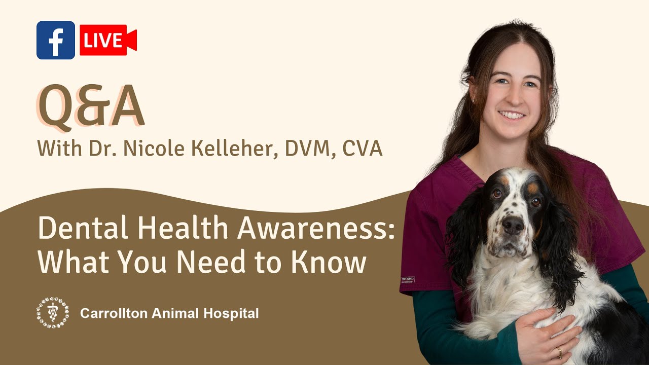 Q&A Session with Dr. Nicole Kelleher Dental Health Awareness YouTube