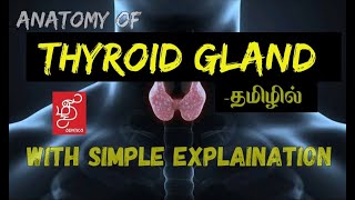 THYROID GLAND | ANATOMY OF THYROID GLAND - IN TAMIL