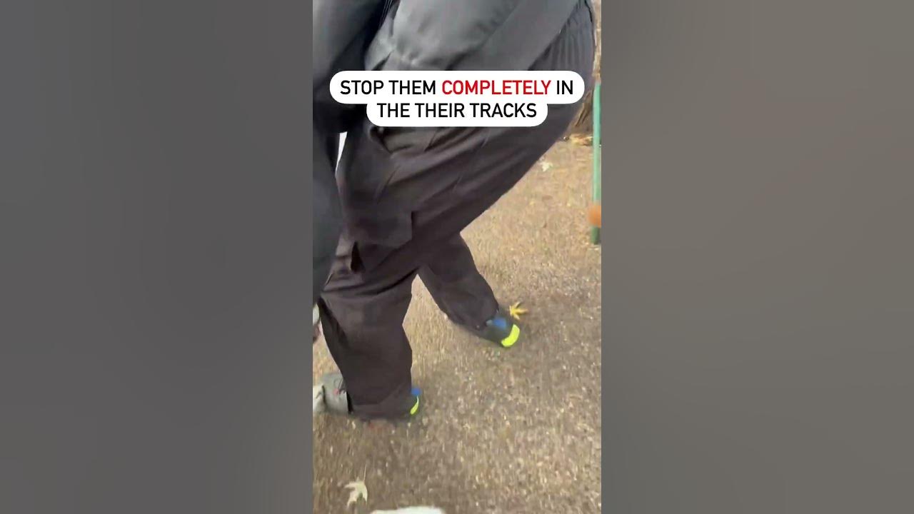 How to correct your dog. Training & psychology tips. Off leash pit bull. Aggression. 