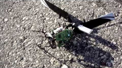 Melissa mCPx outside (Bad Idea)