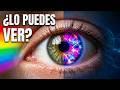 El color que casi nadie puede ver