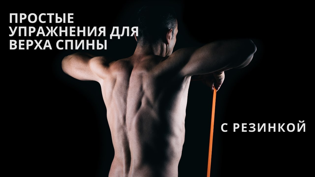 ����������� + ����������� ����������: ����.