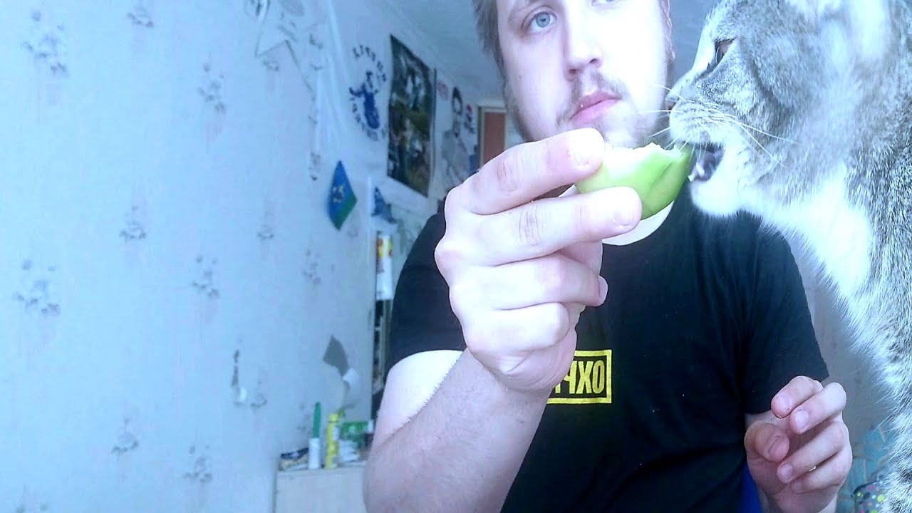 МУКБАНГ. ЕМ АВОКАДО. ФРУКТ ИЛИ ОВОЩ? - YouTube