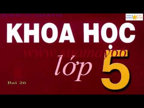 Khoa học lớp 5, Bài 26, Đá vôi, khoa học, thuan mai - youtube